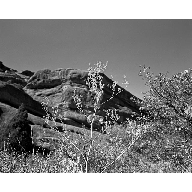 Untitled<br/>
Red Rocks - 2009<br/>
6x7 Film<br/>
1